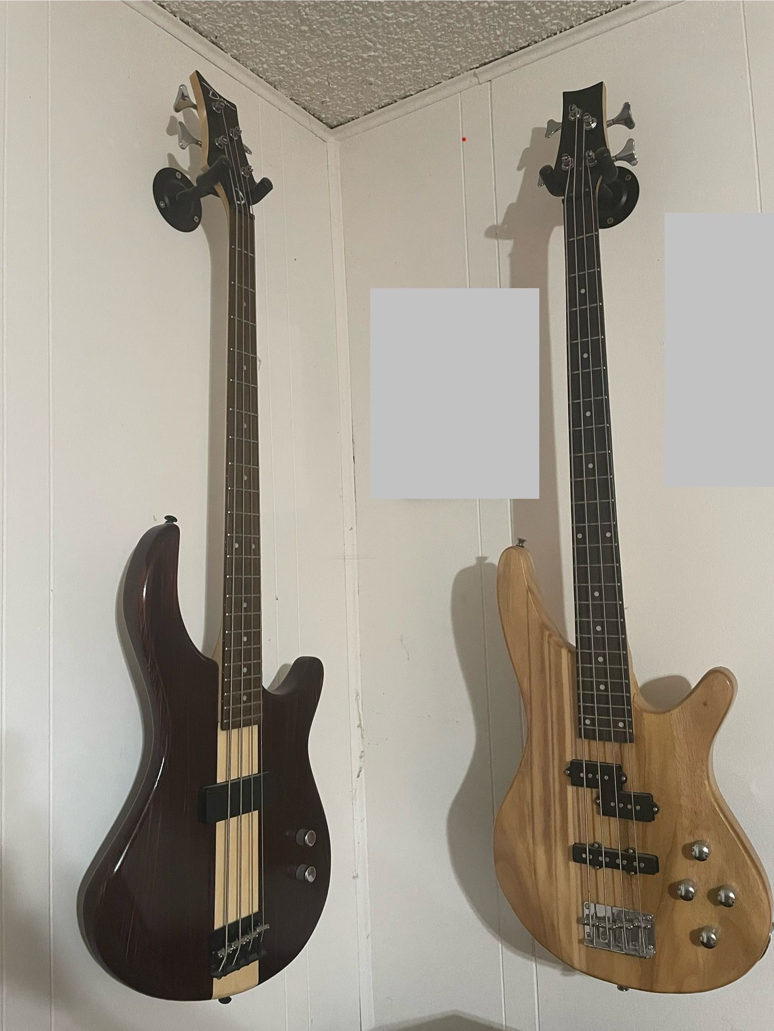 Bass Guitars