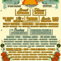 Fool in Love 8/31/2024