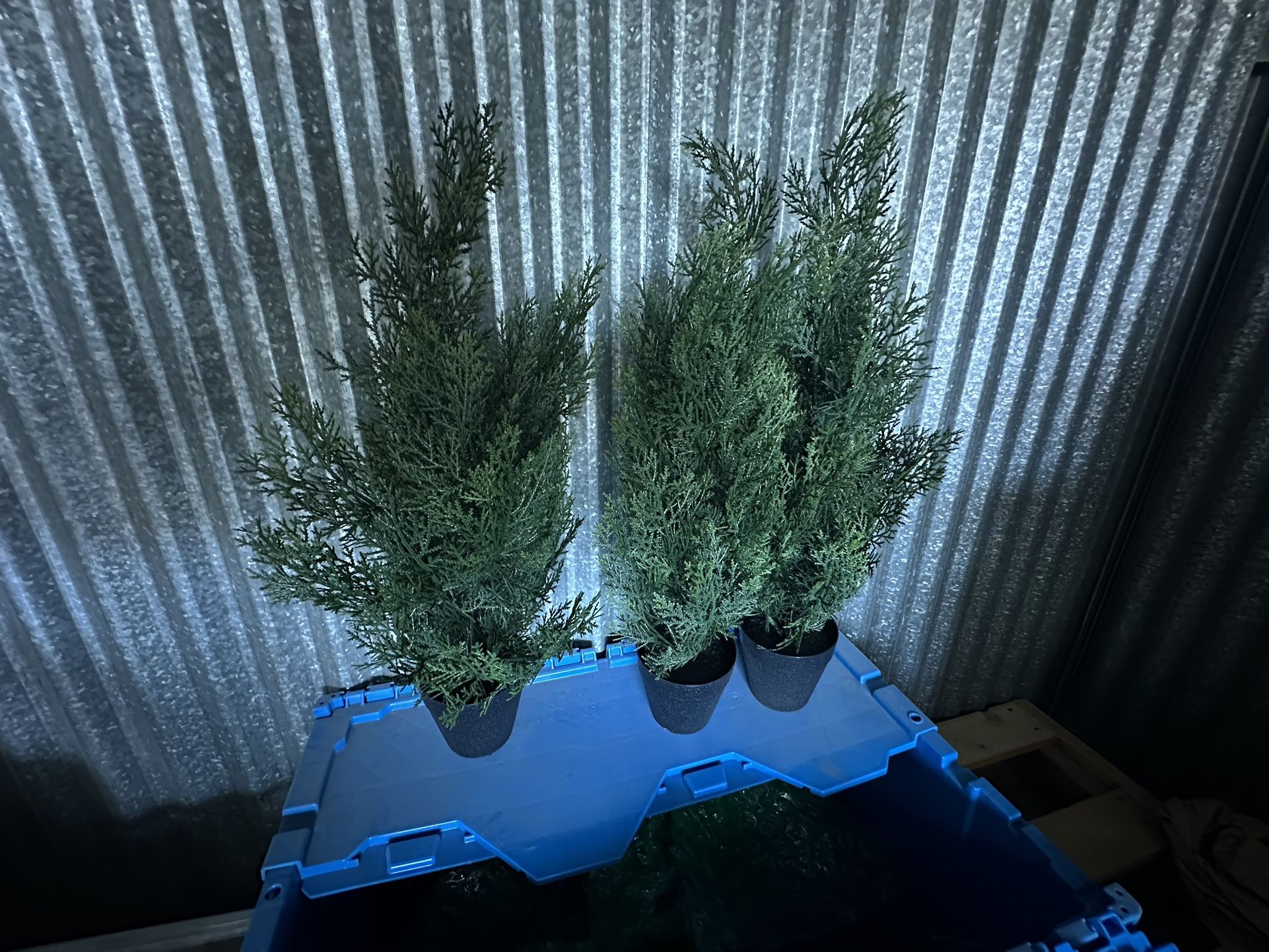 Small Fake Plants 