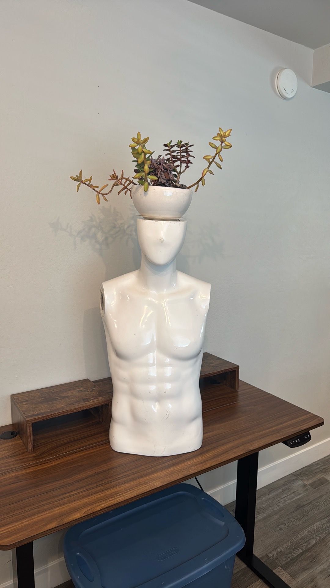LIVE SUCCULENTS ART-PLANTER Creative Mannequin Piece
