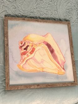 Sea Shell Picture