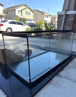 Reptile Aquarium - Zoo Med 40 gal