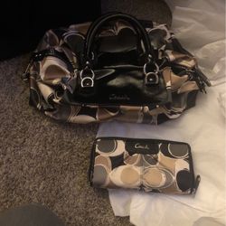 Coach Pocketbook And Wallet