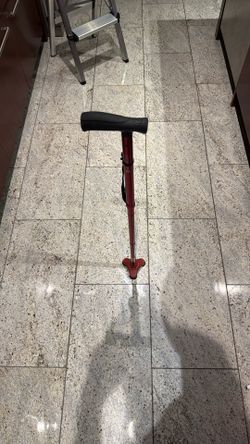 Hurrycane Cane Walker 