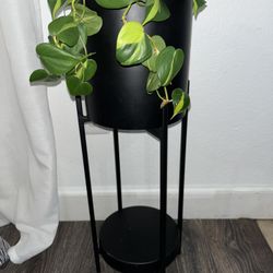 Black Metal Plant Stand 