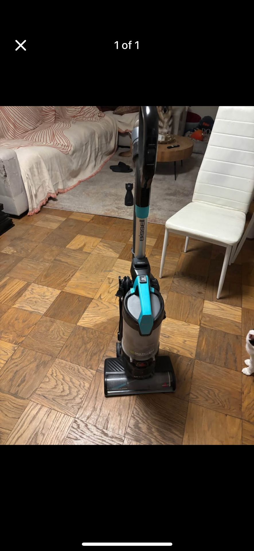 Bissell Pet Vacuum