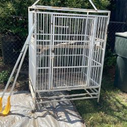 Bird Cage