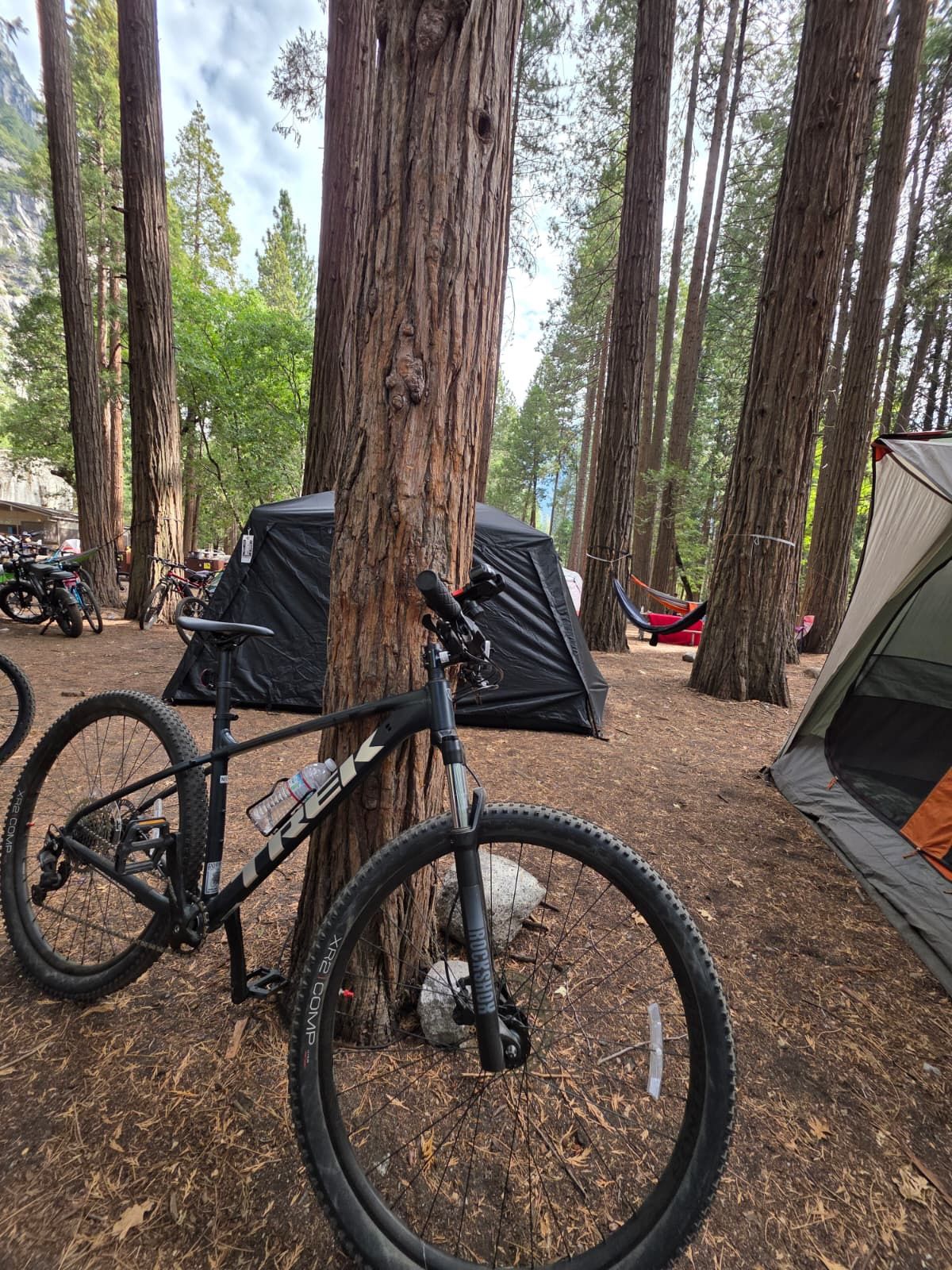 Trek mountain Bike marlin 7 M-L Silver