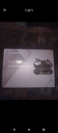 Translation earbuds