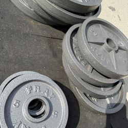 Olympic Weight Plates 