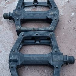 Flybike/Ruben Graphite Signature Black Plastic Pedals Good Condition Asking $15 Firm Price 