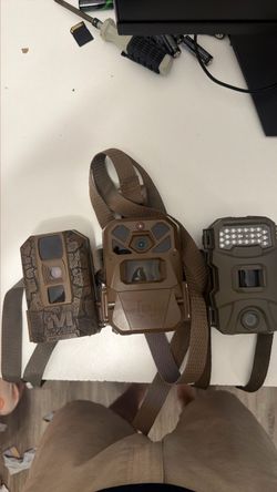 Trail cams