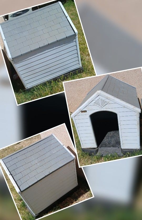 Dog House