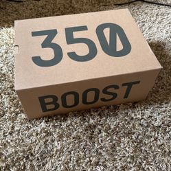 Yeezy 350 Carbon Beluga Sz 8