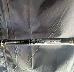 Penn Carnage III Inshore Spinning Fishing Rod  New