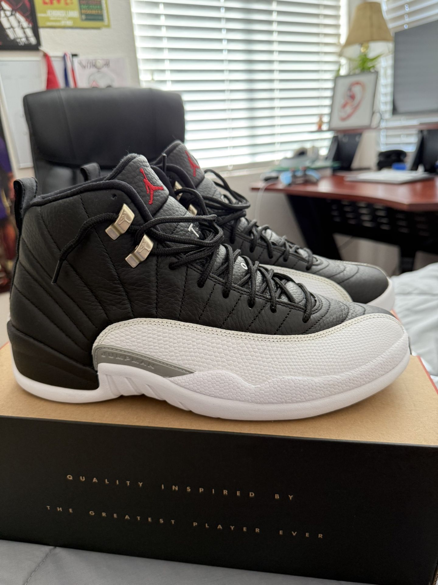 Jordan 12 Playoffs