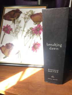 Twilight breaking dawn