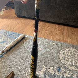 Easton Softball Bat