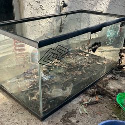 Free Reptile Tank