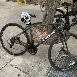 Trek Gold Alpha Aluminum FX1