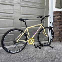 CUSTOM Specialized Rockhopper Comp, 17” 