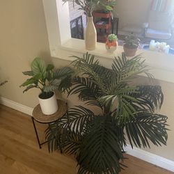 5 Faux Plants