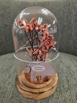 LED Flower Terrarium Glass Dome