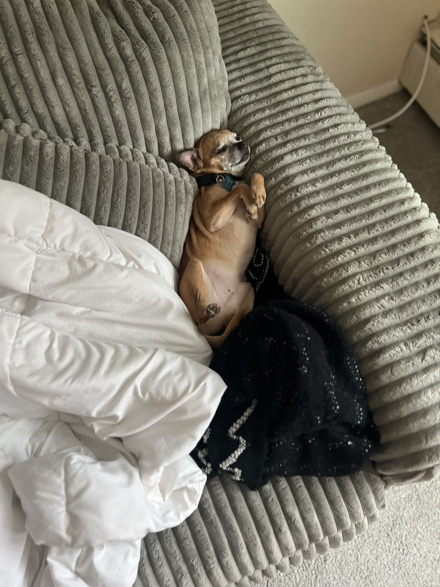 Real Feather Down Couch Comes Apart In Two Pieces Only Two Months Old Paid 3300 But I Have To Leave And Go Out Of State Because Of The Death In The Fa