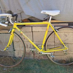 Japaneese Racing Bike 26in