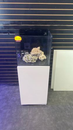 Salt water fish tank