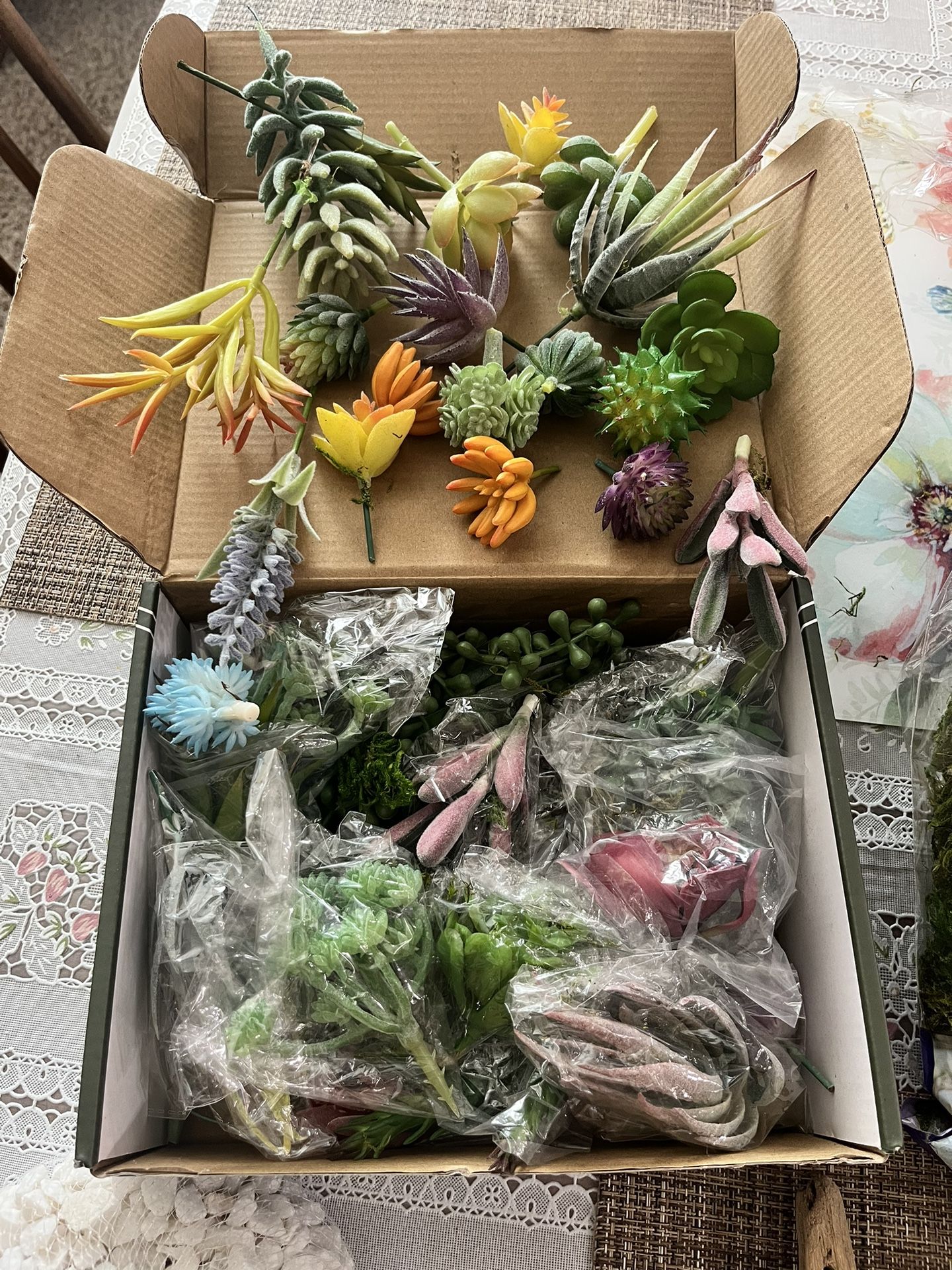 Succulent Crafting Supplies