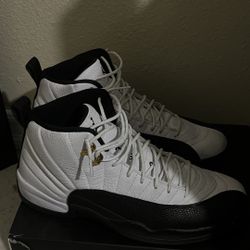 size 13 jordans