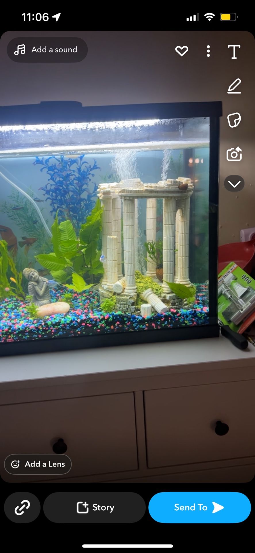 Fish Decor