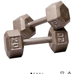 Dumbbell 20lb Set