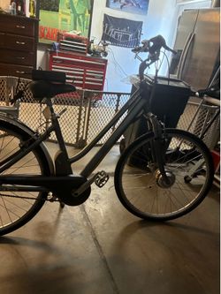 Giant Twist Freedom DX  e bike