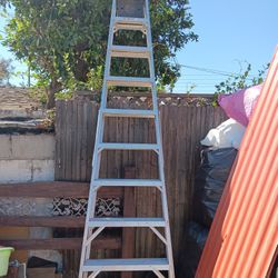 Werner Ladder