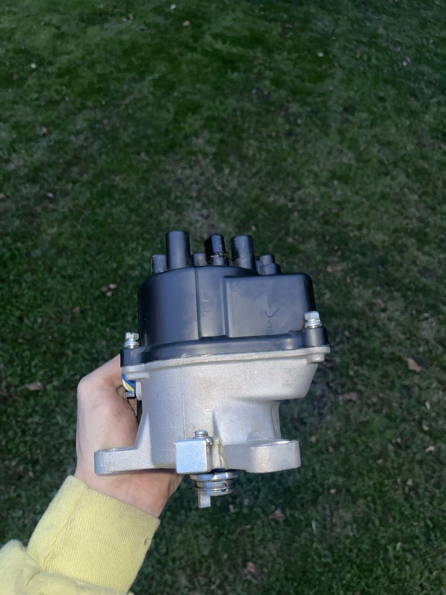 D16Y8 Y7 Distributor