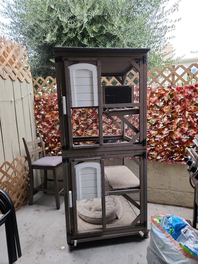 Catio