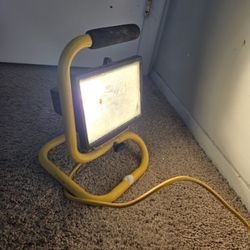 light and extension cord 100 ft.