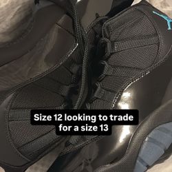 Jordan 11 Gamma Size 12
