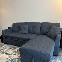 Pull-out Sectional Sofa with Storage Chaise