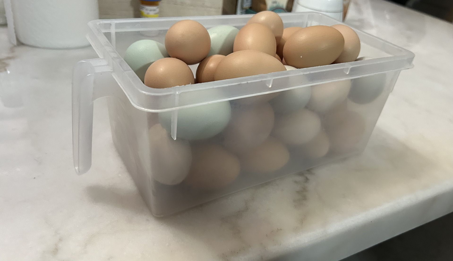Free Range Chicken Eggs/Huevo De Gallina Criolla
