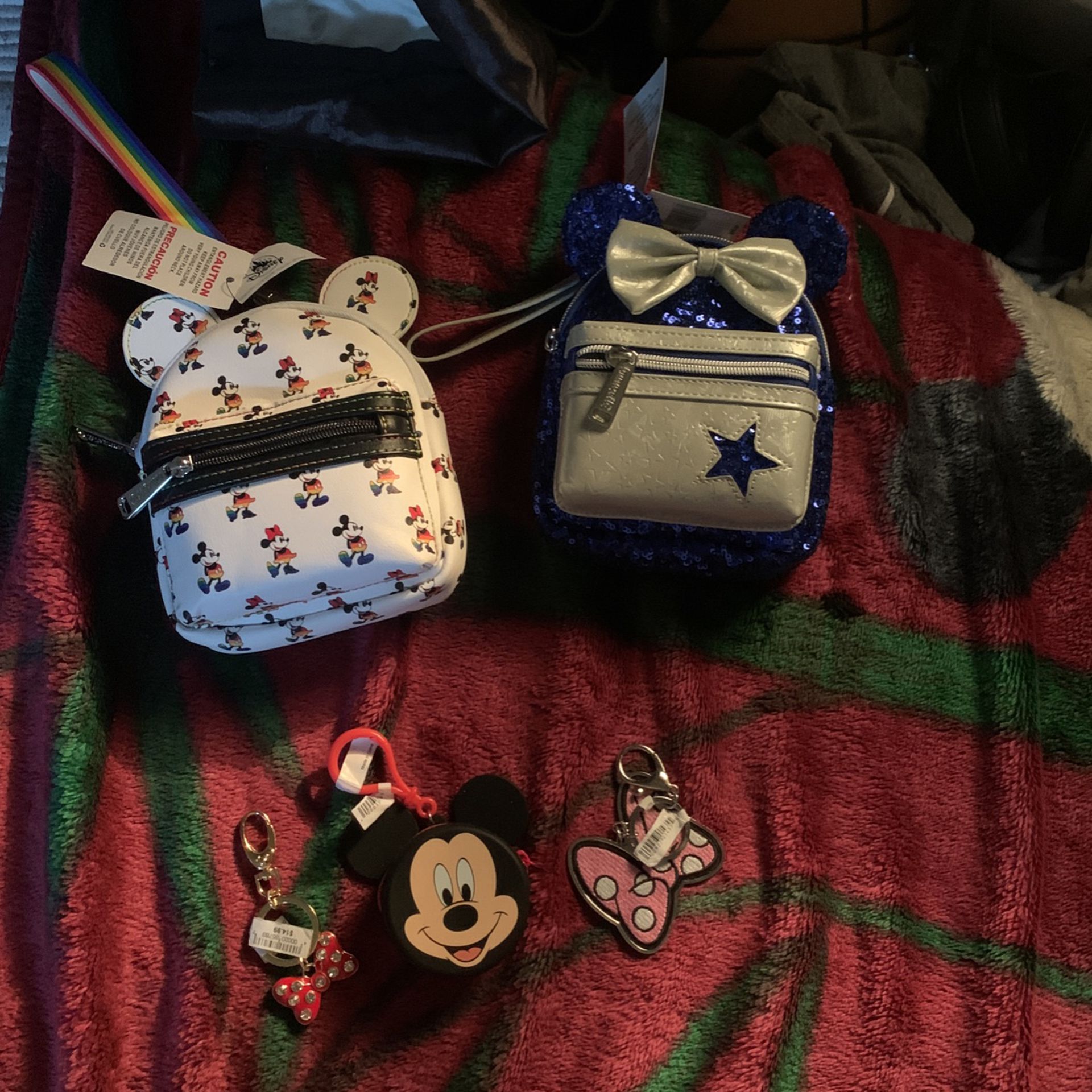 Disney Land Souvenirs And Mini Backpacks