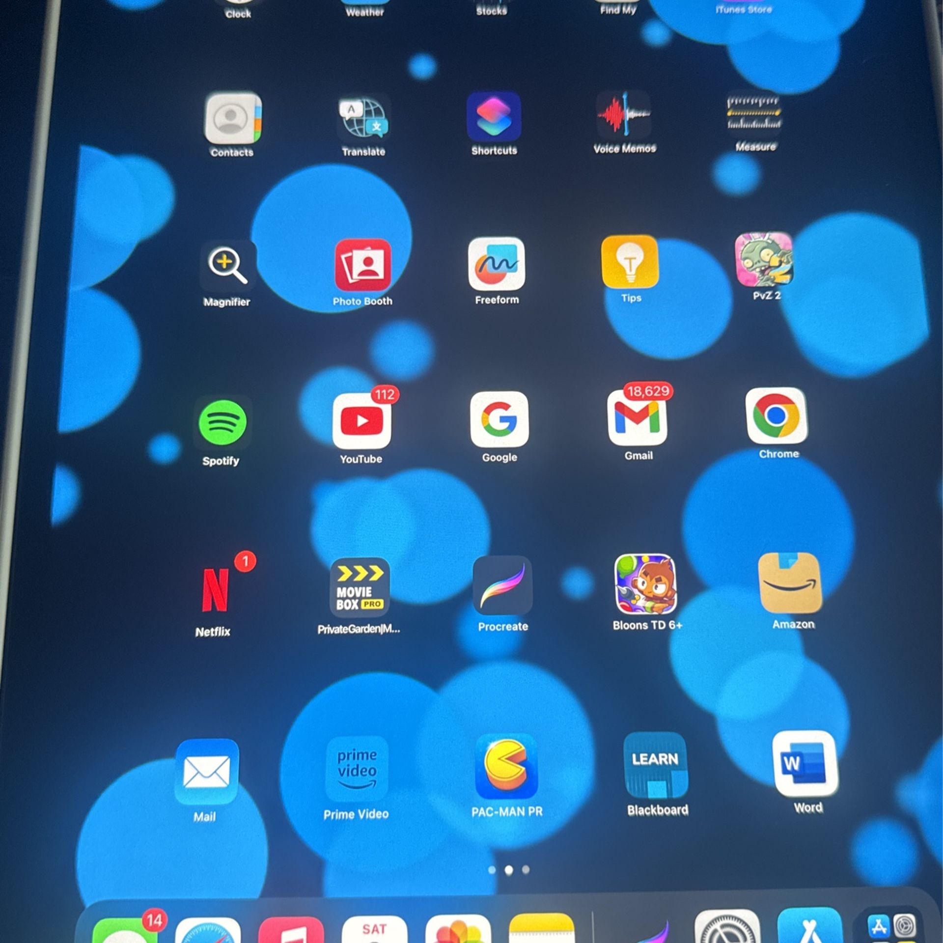 Apple iPad