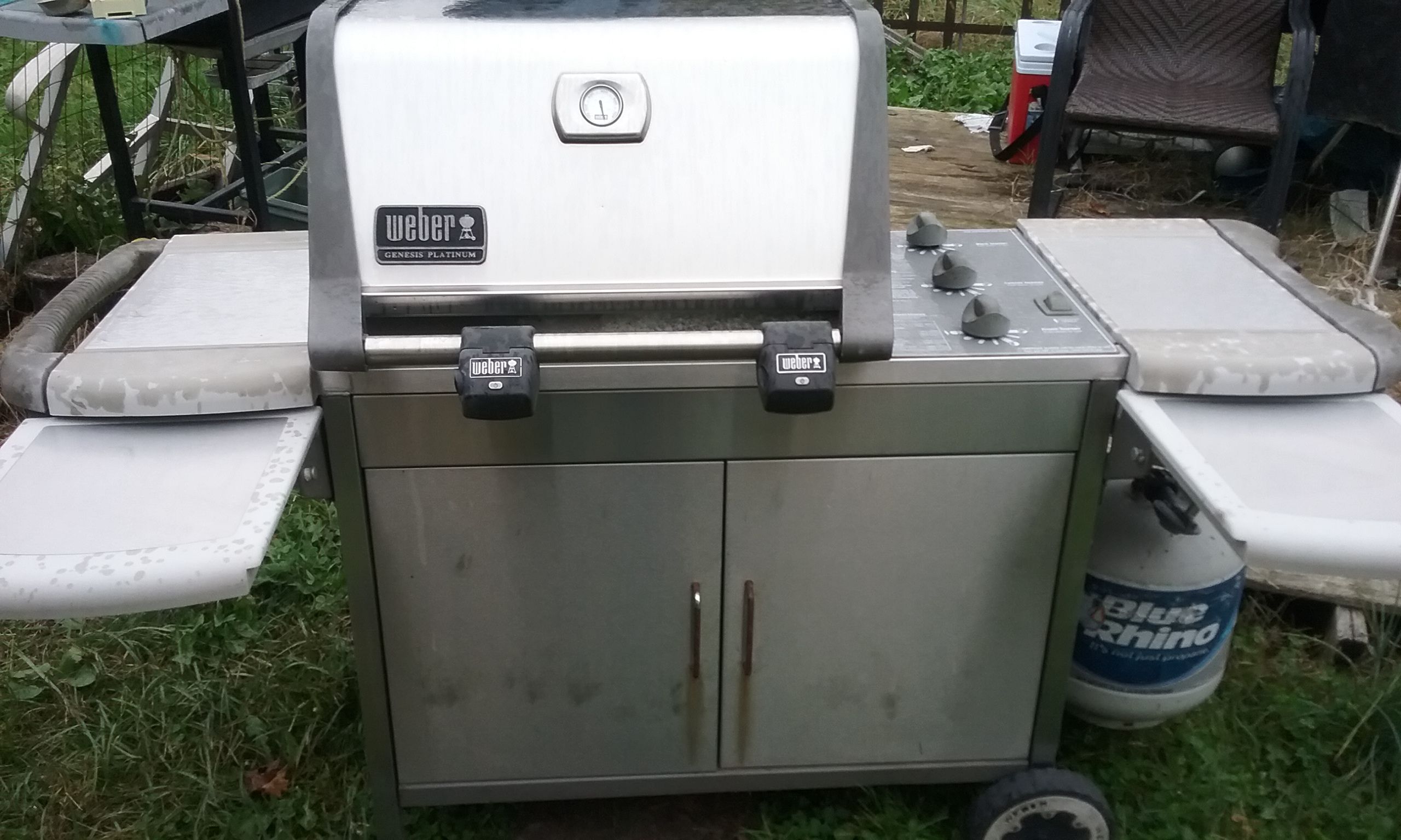 Weber Genesis Platinum B Stainless Steel gas grill