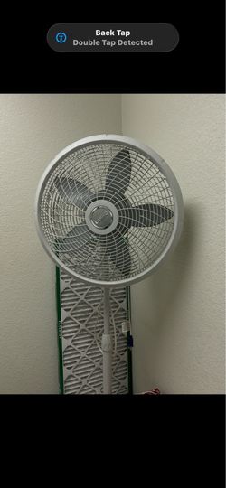 Fan