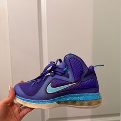 Nike LeBron 9 summit lake Hornets
