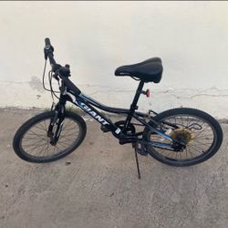 Giant Kids Mountain Bike Black Blue