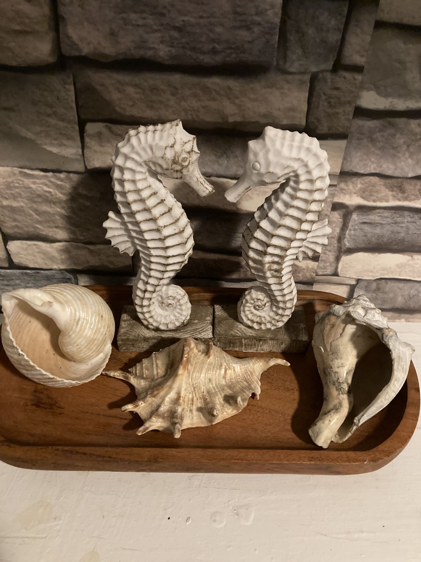 Costal Seahorse And Seashells