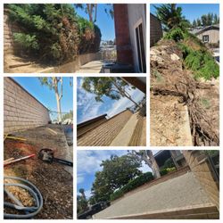 Maintenance Sprinklers 